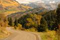 Colorado Fall Colors-4937.jpg